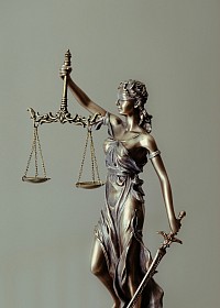 Law